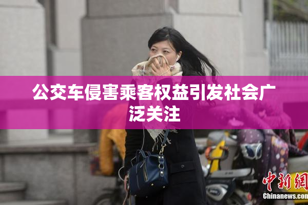 公交车侵害乘客权益引发社会广泛关注