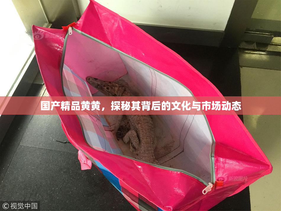 国产精品黄黄，探秘其背后的文化与市场动态