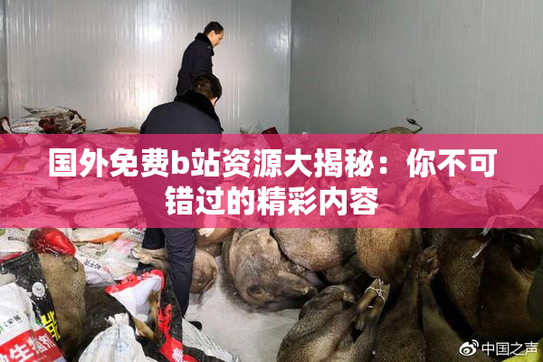 国外免费b站资源大揭秘：你不可错过的精彩内容