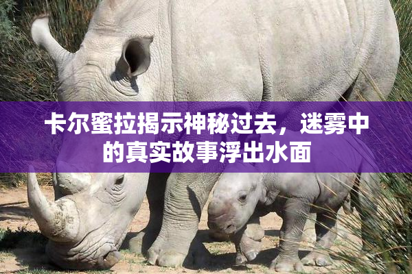 卡尔蜜拉揭示神秘过去，迷雾中的真实故事浮出水面