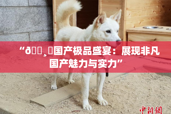 “🌸‌国产极品盛宴：展现非凡国产魅力与实力”