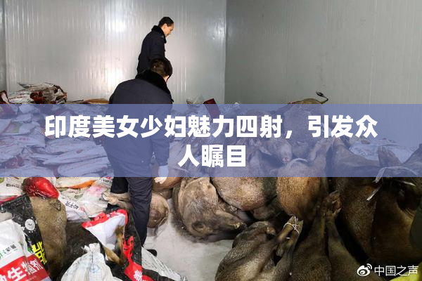 印度美女少妇魅力四射，引发众人瞩目
