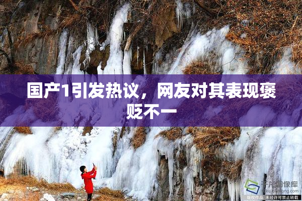 国产1引发热议，网友对其表现褒贬不一