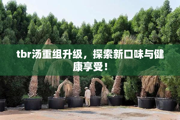 tbr汤重组升级，探索新口味与健康享受！