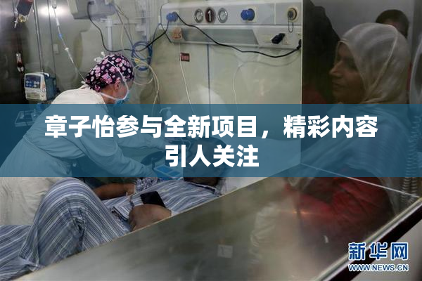 章子怡参与全新项目，精彩内容引人关注