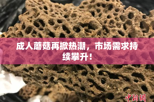 成人蘑菇再掀热潮，市场需求持续攀升！