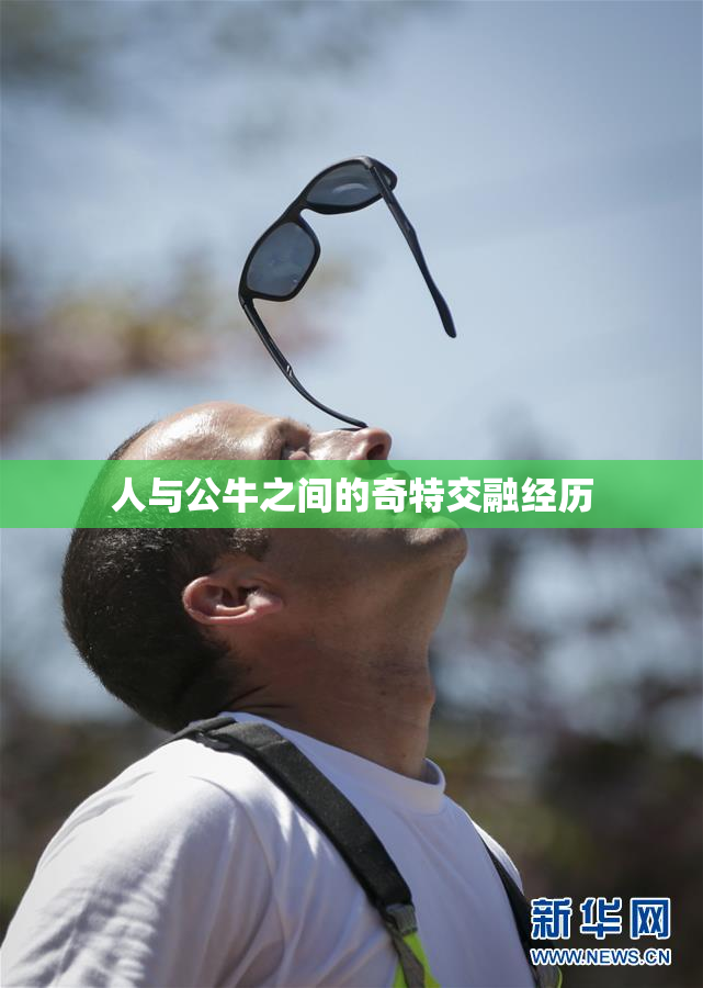 人与公牛之间的奇特交融经历