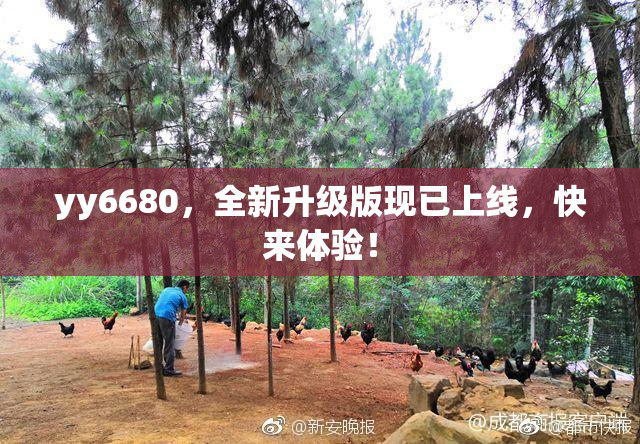 yy6680，全新升级版现已上线，快来体验！