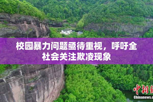 校园暴力问题亟待重视，呼吁全社会关注欺凌现象