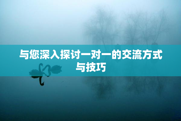 与您深入探讨一对一的交流方式与技巧