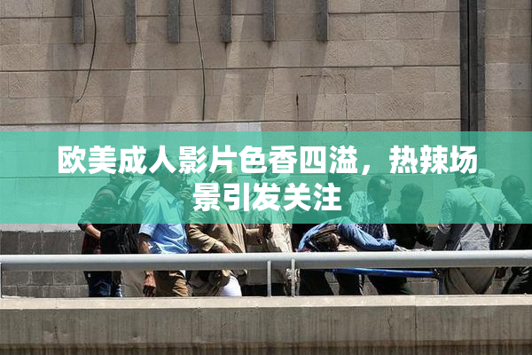 欧美成人影片色香四溢，热辣场景引发关注