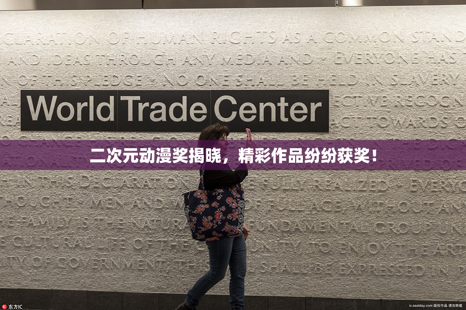 二次元动漫奖揭晓，精彩作品纷纷获奖！