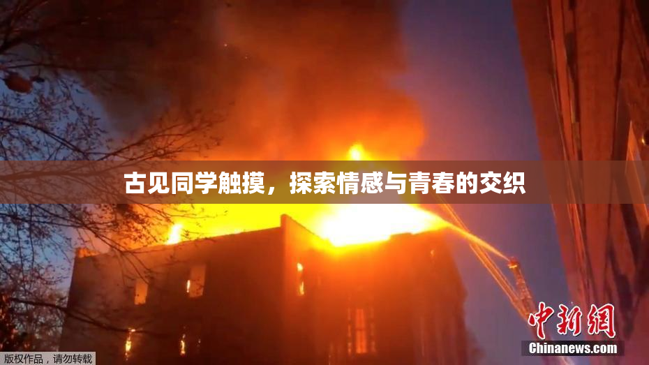古见同学触摸，探索情感与青春的交织