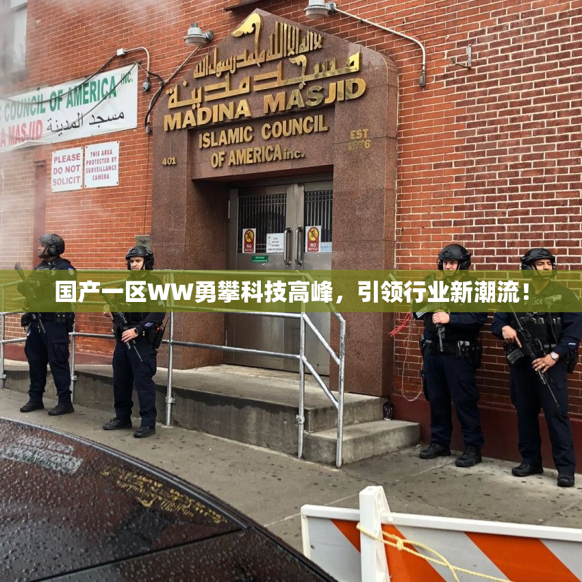 国产一区WW勇攀科技高峰，引领行业新潮流！