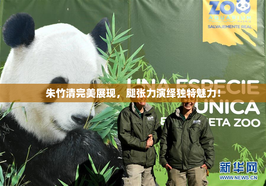 朱竹清完美展现，腿张力演绎独特魅力！