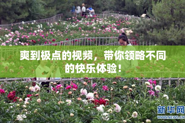 爽到极点的视频，带你领略不同的快乐体验！
