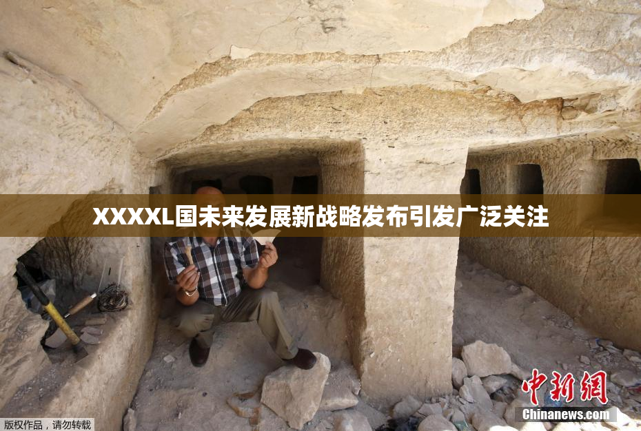 XXXXL国未来发展新战略发布引发广泛关注