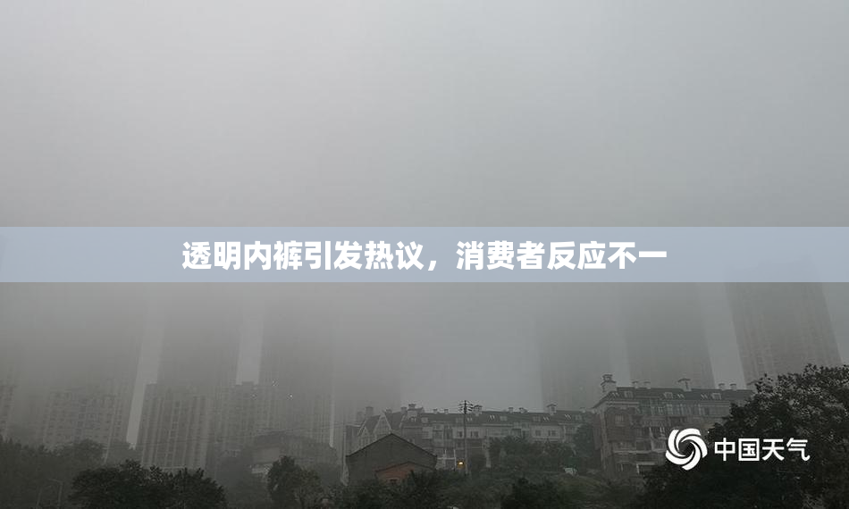 透明内裤引发热议，消费者反应不一