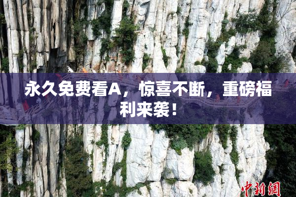 永久免费看A，惊喜不断，重磅福利来袭！