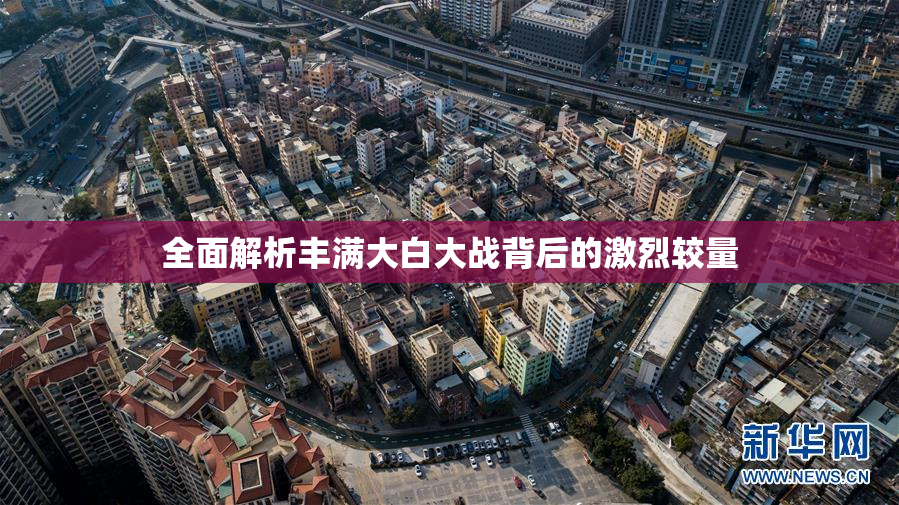 全面解析丰满大白大战背后的激烈较量