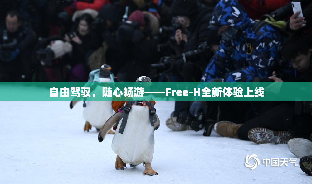 自由驾驭，随心畅游——Free-H全新体验上线
