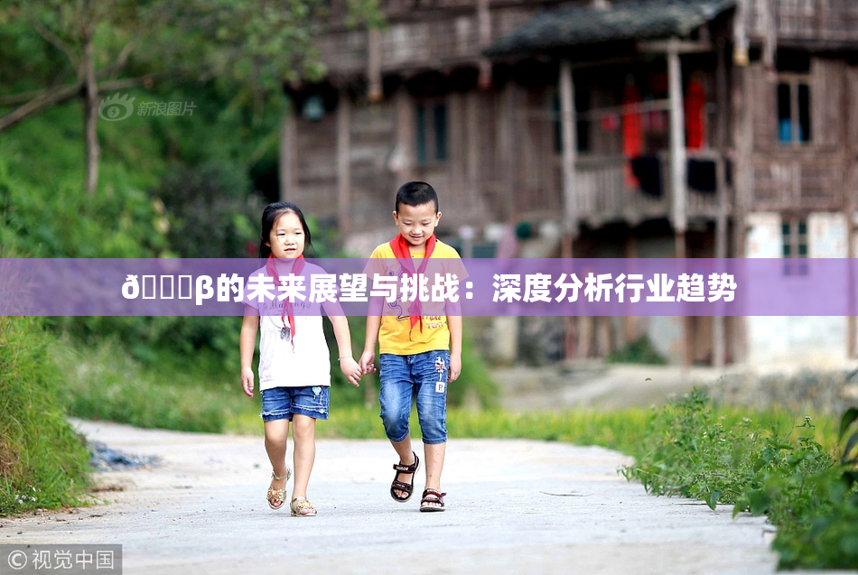 🔞β的未来展望与挑战：深度分析行业趋势
