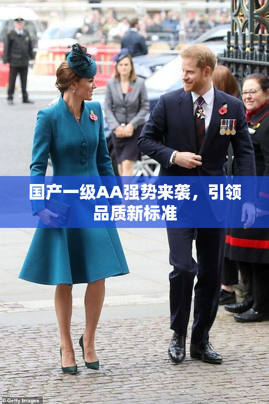 国产一级AA强势来袭，引领品质新标准