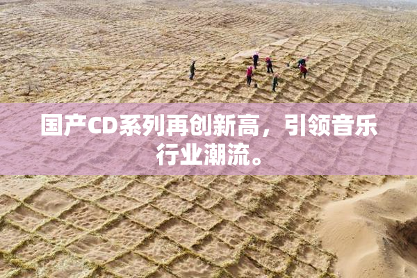 国产CD系列再创新高，引领音乐行业潮流。