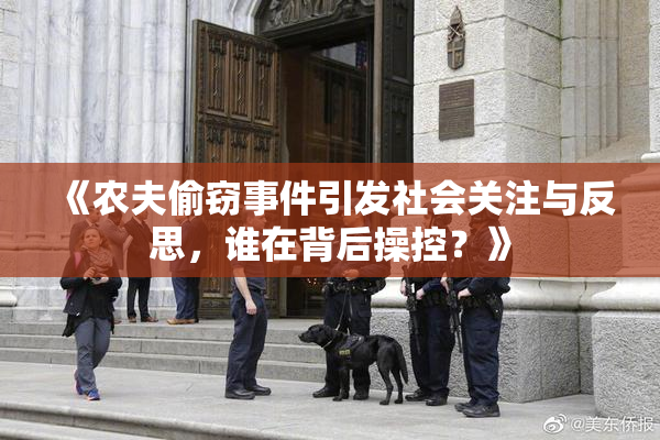 《农夫偷窃事件引发社会关注与反思，谁在背后操控？》