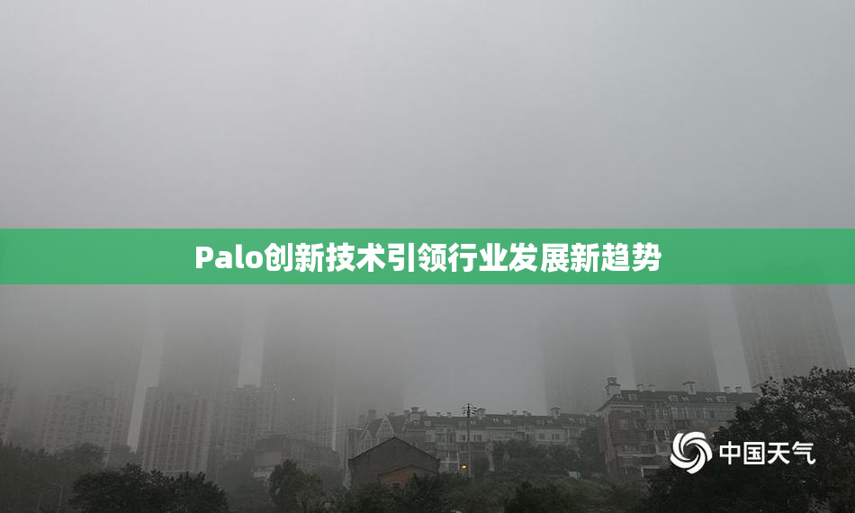 Palo创新技术引领行业发展新趋势