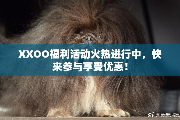 XXOO福利活动火热进行中，快来参与享受优惠！