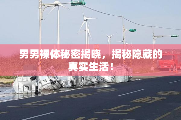 男男裸体秘密揭晓，揭秘隐藏的真实生活！