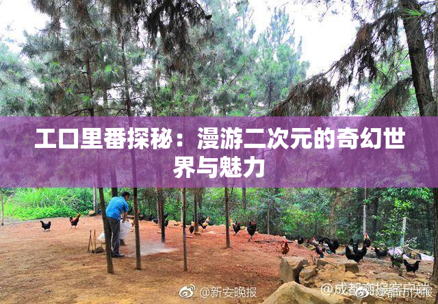 工口里番探秘：漫游二次元的奇幻世界与魅力