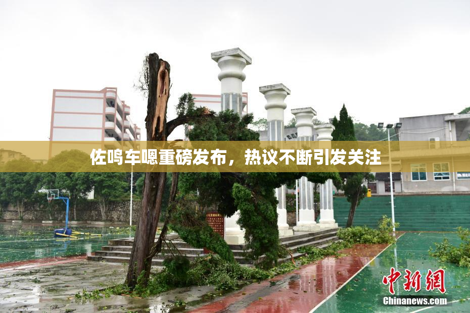 佐鸣车嗯重磅发布，热议不断引发关注