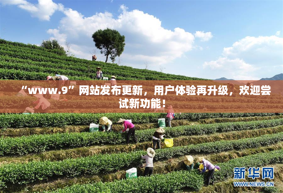 “www.9”网站发布更新，用户体验再升级，欢迎尝试新功能！