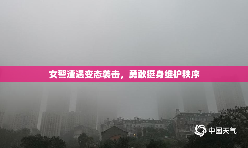 女警遭遇变态袭击，勇敢挺身维护秩序