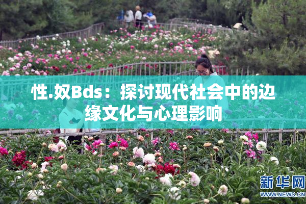 性.奴Bds：探讨现代社会中的边缘文化与心理影响