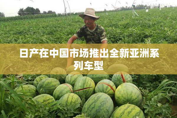 日产在中国市场推出全新亚洲系列车型