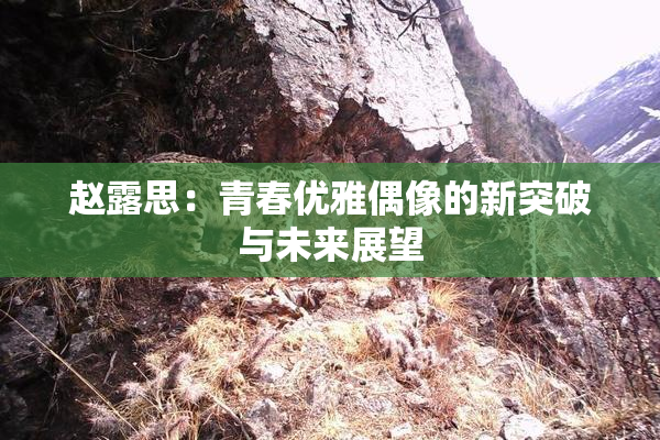赵露思：青春优雅偶像的新突破与未来展望