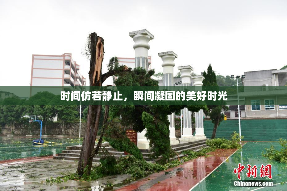 时间仿若静止，瞬间凝固的美好时光