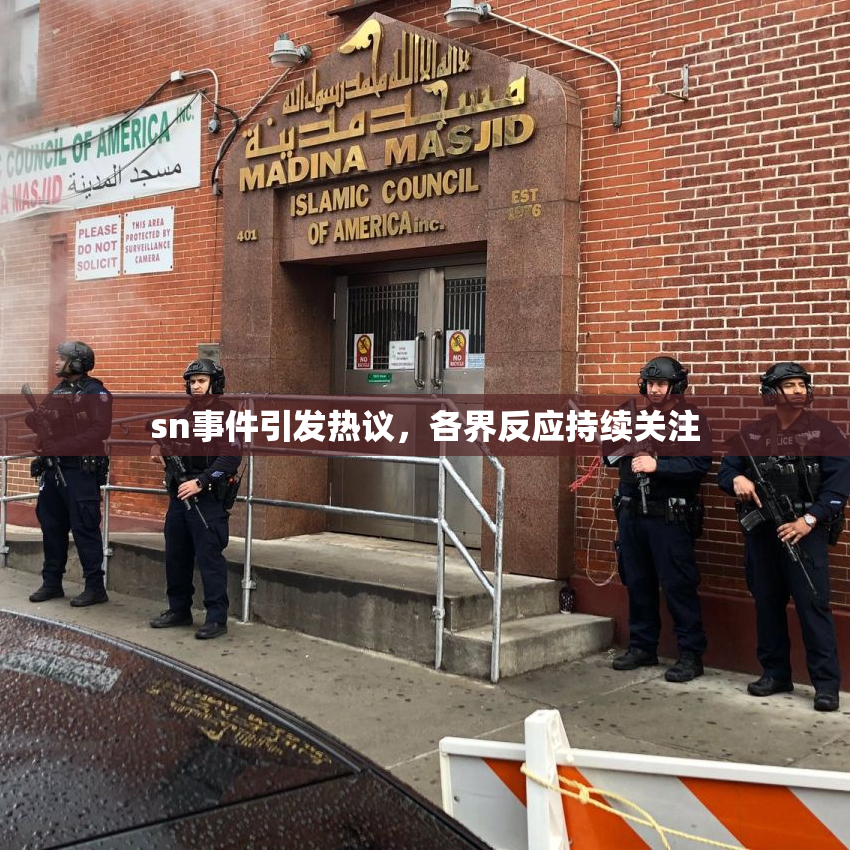 sn事件引发热议，各界反应持续关注