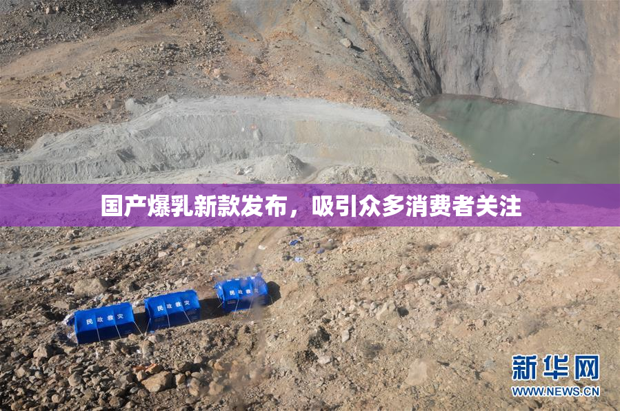 国产爆乳新款发布，吸引众多消费者关注