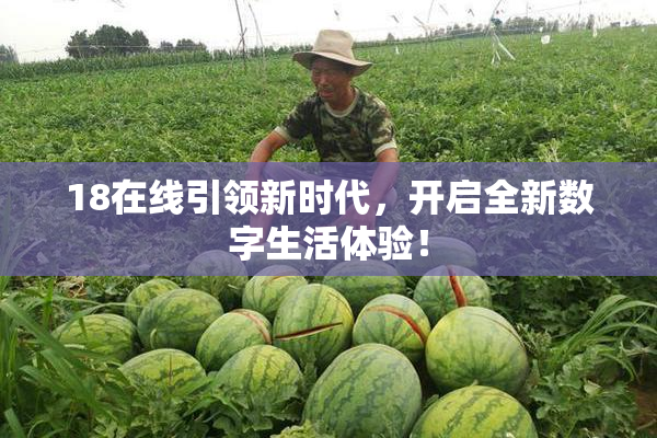 18在线引领新时代，开启全新数字生活体验！