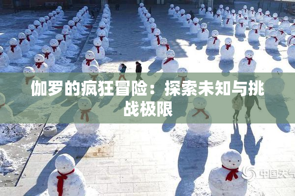 伽罗的疯狂冒险：探索未知与挑战极限