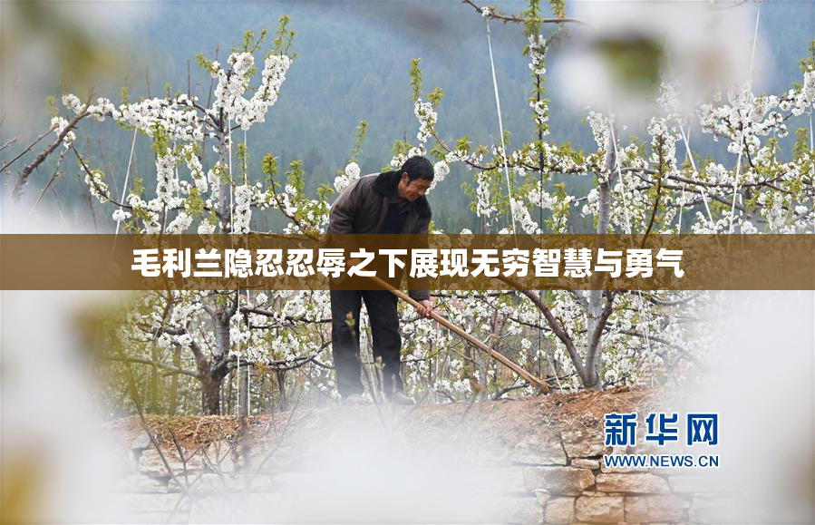 毛利兰隐忍忍辱之下展现无穷智慧与勇气