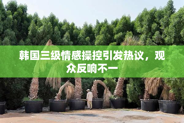 韩国三级情感操控引发热议，观众反响不一