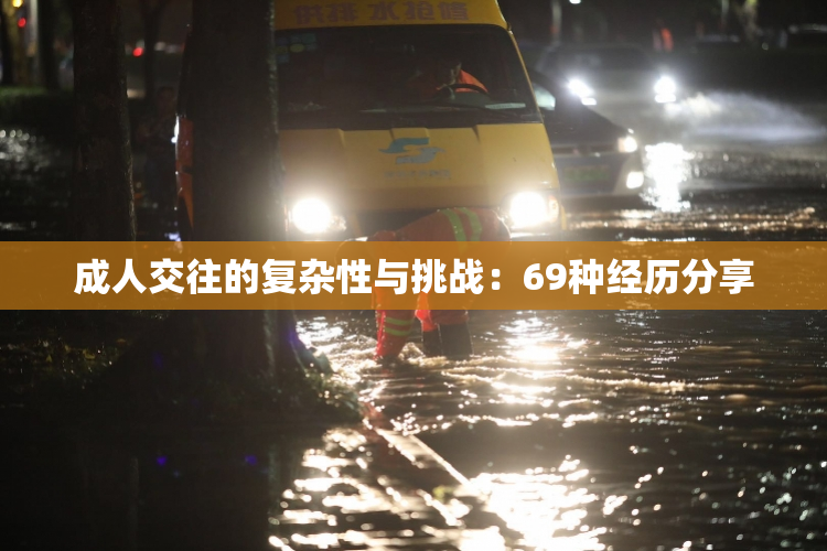 成人交往的复杂性与挑战：69种经历分享