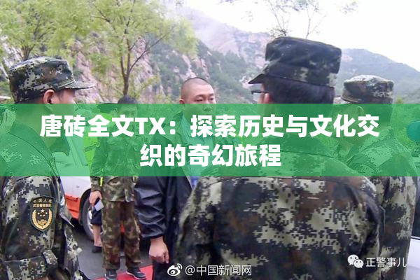 唐砖全文TX：探索历史与文化交织的奇幻旅程