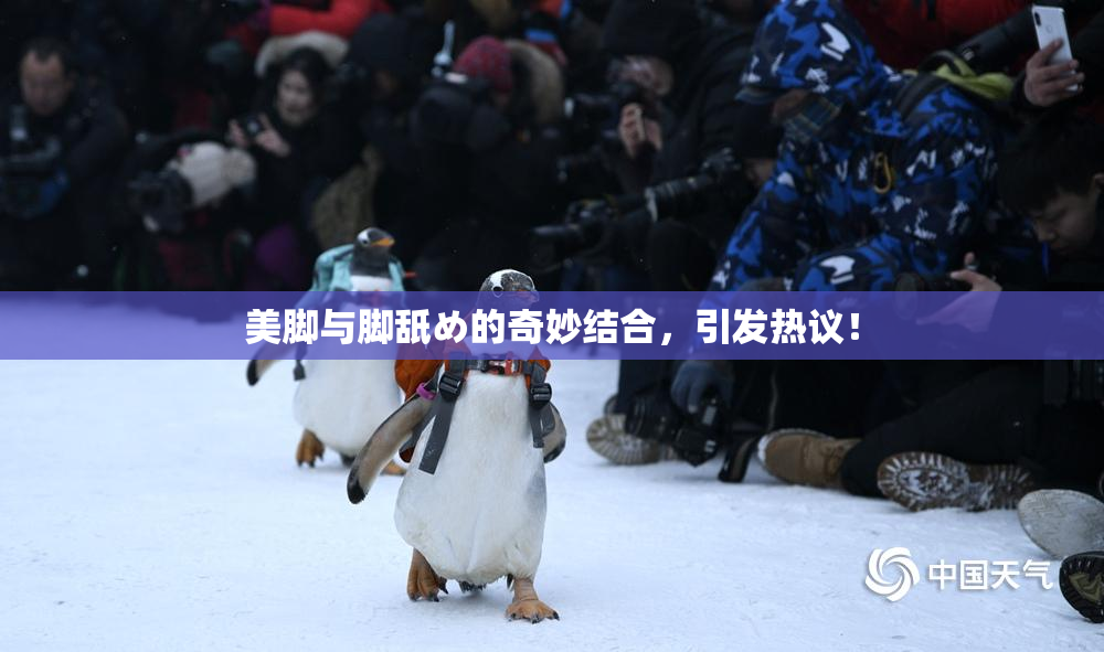 美脚与脚舐め的奇妙结合，引发热议！