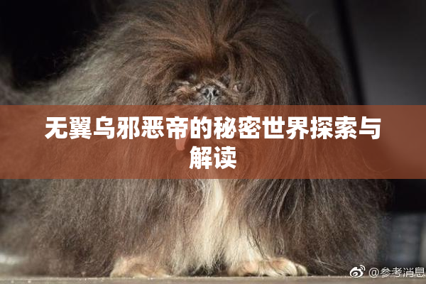 无翼乌邪恶帝的秘密世界探索与解读
